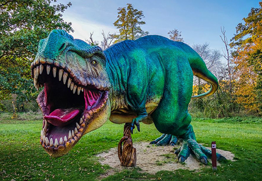 Olbrzymi T-Rex – realistyczna figura dinozaura z laminatu, kolekcja 60 modeli Malpol Nowa Sól.