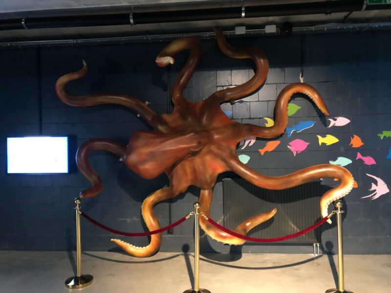 figura ośmiornicy - oceanarium, parki wodne, aquaparki  - octopus fiberglass 3d sculptures