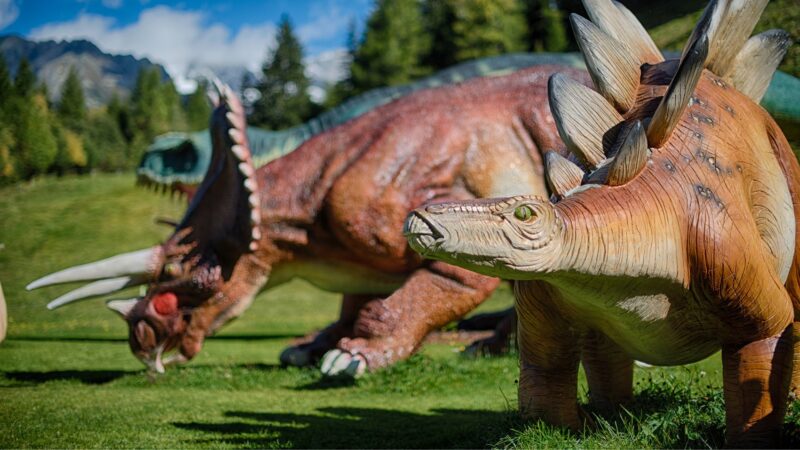 Naukowe repliki dinozaurów w Dinoland Klausberg – figury Stegosaurus i Triceratops naturalnej wielkości we Włoszech, lifelike dinosaur statues manufacturer Malpol.