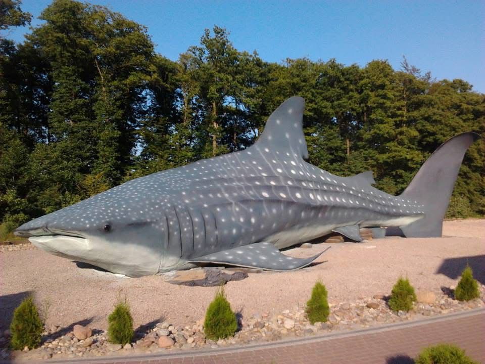 Producent figur 3D XXL - gigantyczny rekin wielorybi 18 metrów dla Sea Park Sarbsk - Large Scale Marine Wildlife Replica