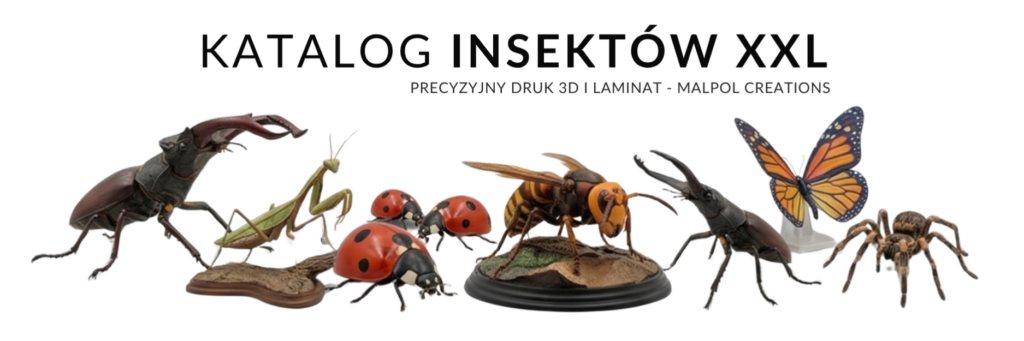 Katalog insektów XXL (Giant Insects) – precyzyjne makiety 3D i repliki dydaktyczne – producent malpol.